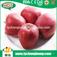 [HOT] china huaniu Apfel / chinesischen huaniu Apfel